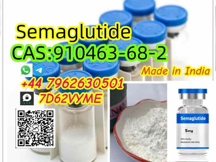 Semaglutide (CAS 910463-68-2): Revolutionizing Weight Loss Management 4