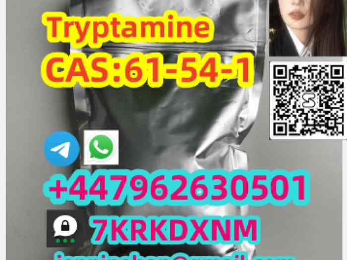 56.Manufacturer supply Tr y p ta mine C A S 61-54-1 with good quality 2