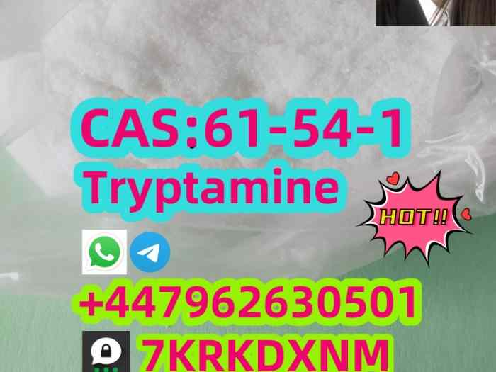 56.Manufacturer supply Tr y p ta mine C A S 61-54-1 with good quality 3