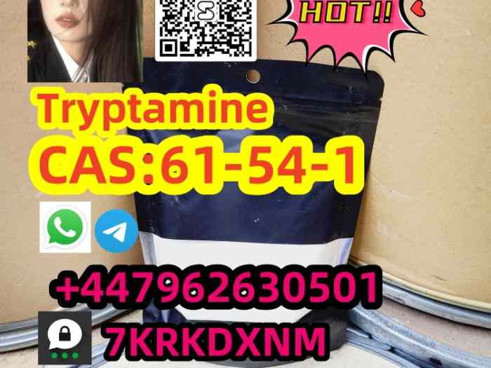 56.Manufacturer supply Tr y p ta mine C A S 61-54-1 with good quality 5