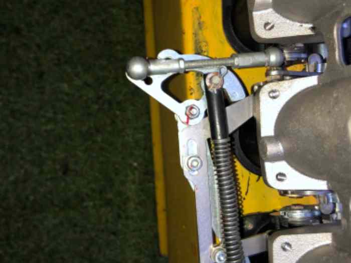 Injection 4 papillon jenvey 2