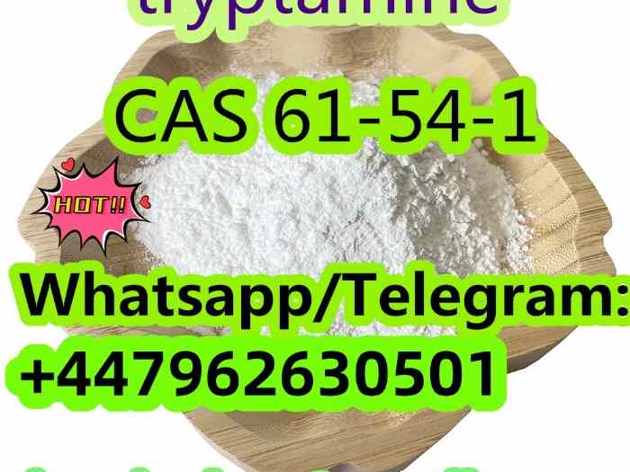 56.Manufacturer supply Tr y p ta mine C A S 61-54-1 with good quality 1