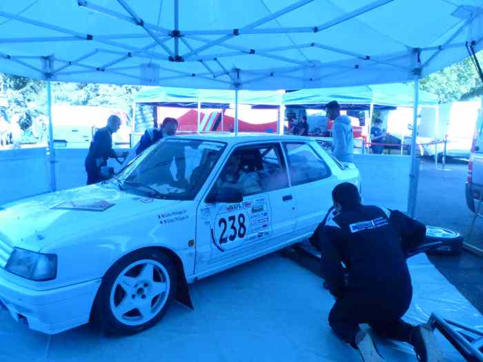 Peugeot 309 GTI 16 Groupe A - VHC - EVO 4