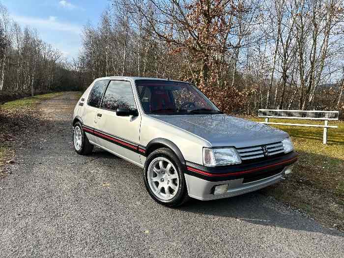 Peugeot 205 gti 180cv