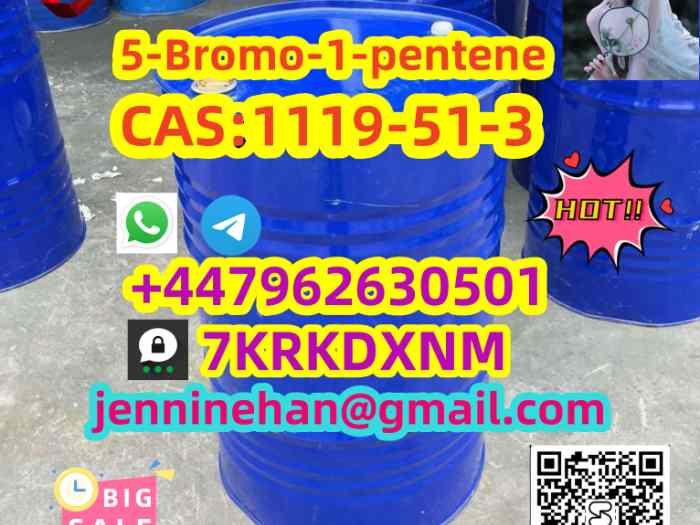 CA S 1119-51-3 High Purity 5