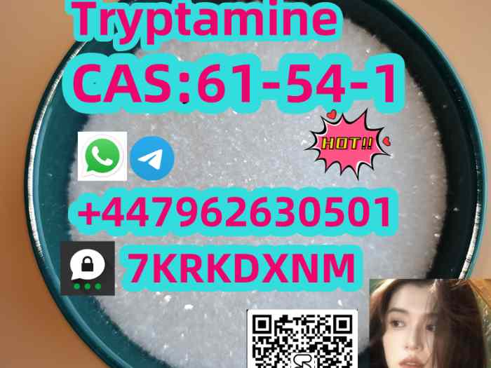 56.Manufacturer supply Tr y p ta mine C A S 61-54-1 with good quality 4
