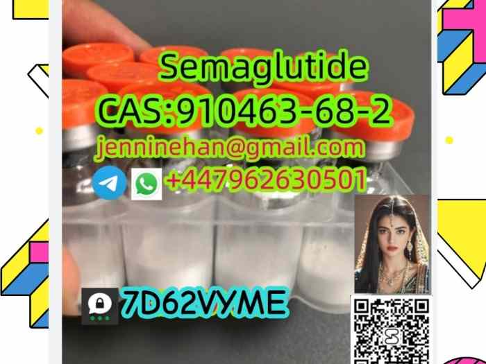 India Cheap High quality cas 910463-68-2 Semaglutide in stock 3