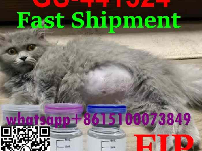 Wet FIP ​​Ascites Relief Plan-GS441524 Injection‌ 5