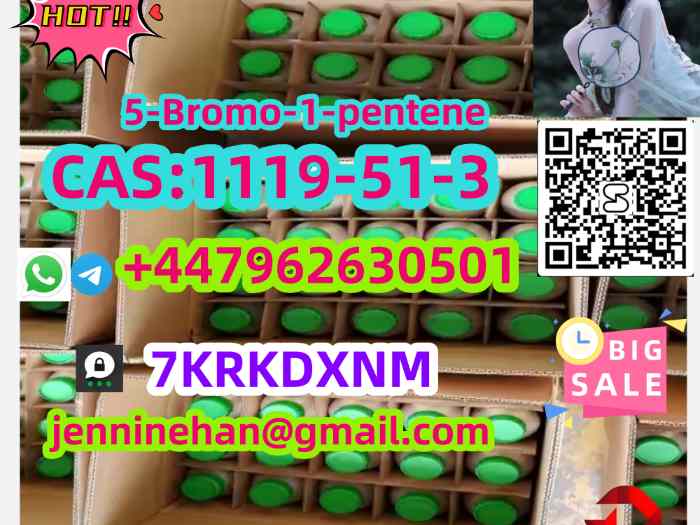 Wholesale Price 5-bro mo-1-pen ten e C AS 1119-51-3 Large Stock  2