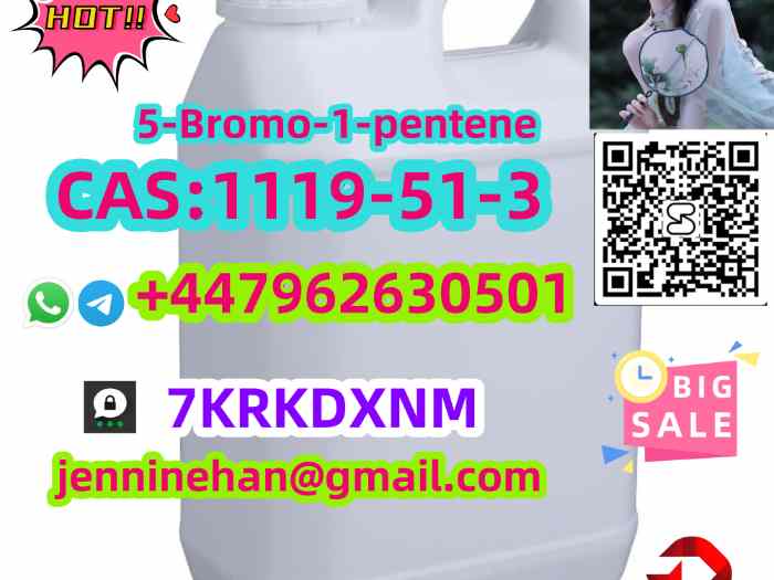 Wholesale Price 5-bro mo-1-pen ten e C AS 1119-51-3 Large Stock  1