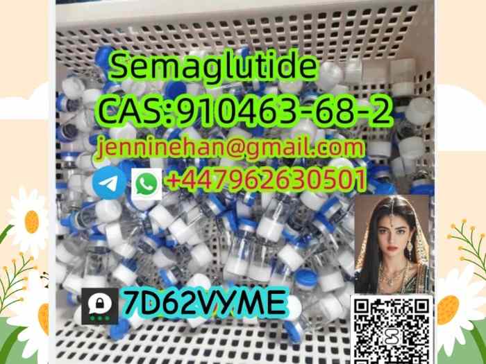 India Cheap High quality cas 910463-68-2 Semaglutide in stock 4