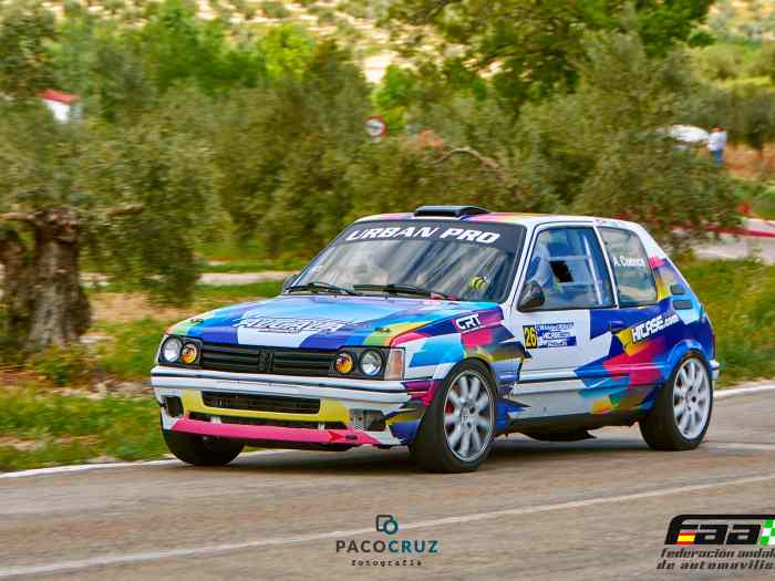 PEUGEOT 205 GTI venta o cambio 5