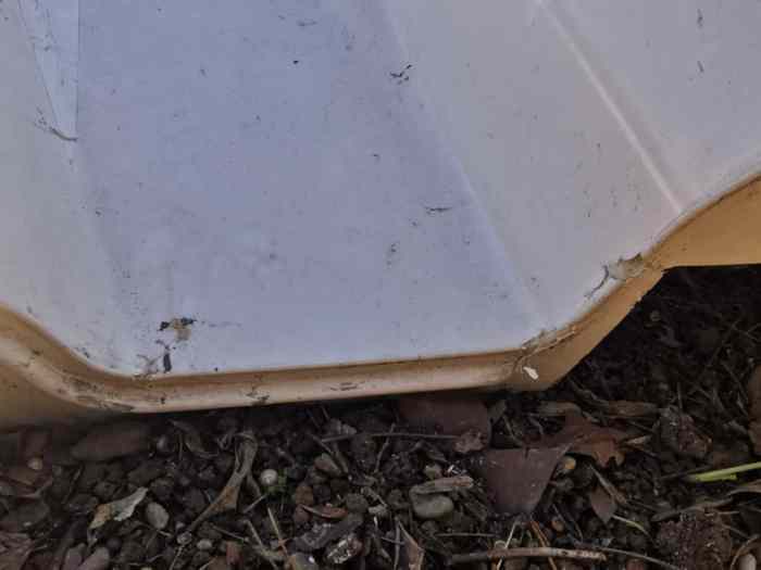 Coque norma m20f 1
