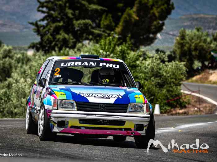 PEUGEOT 205 GTI venta o cambio – photo 6 sur 6
