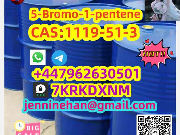 CA S 1119-51-3 High Purity 3