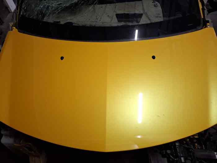 capot clio 3 rs