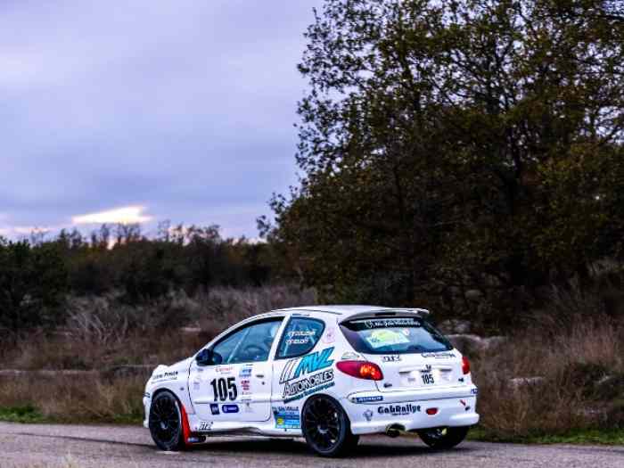 206 RC A7 moteur bloqué 1