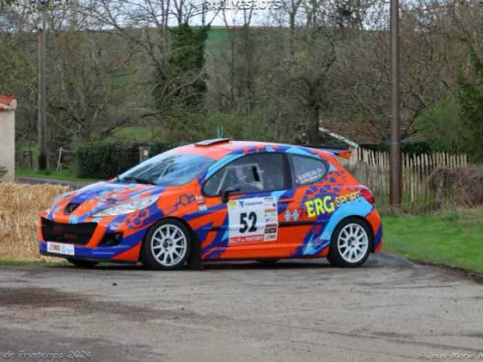 Peugeot 207 RC FRC4 / F2013 0
