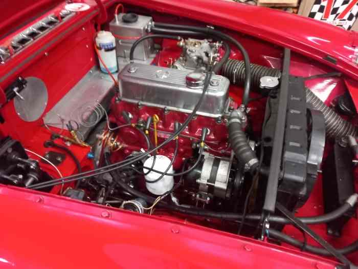 Magnifique MGB FIA 4