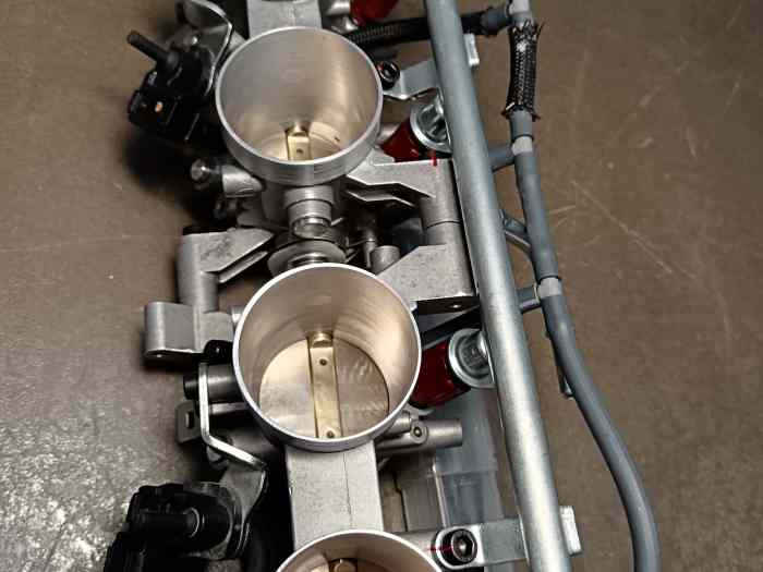 4 papillons ZZR 2