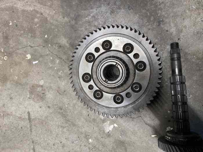 Entraînement Vissé De Rechange Pour Genie 34107R.S 20414R - Tournevis Compatible