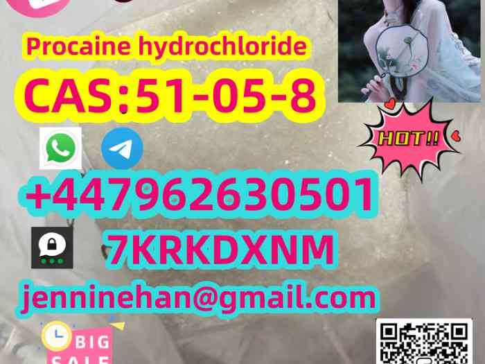 Best price Procaine for sale,buy Procaine base Procaine h cl supplier  1