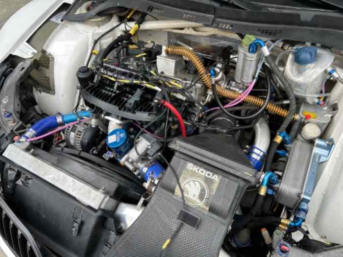 Skoda Fabia R5 2