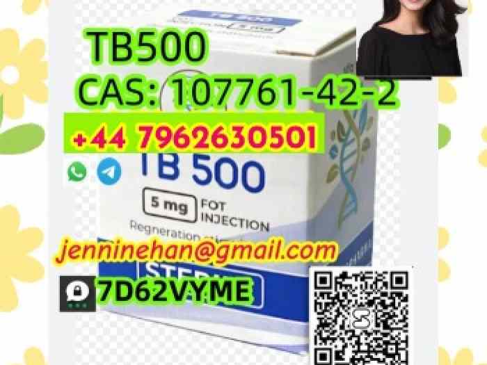 TB500 CAS 107761-42-2 107761-42-2 Purity 99% 5