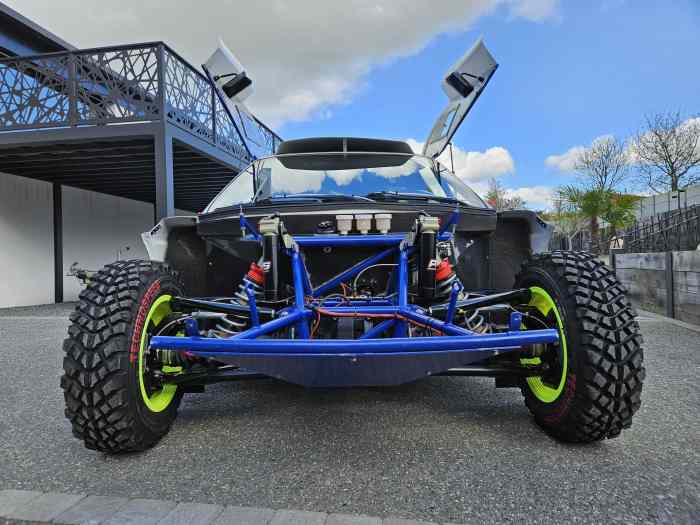 Buggy tout terrain 2