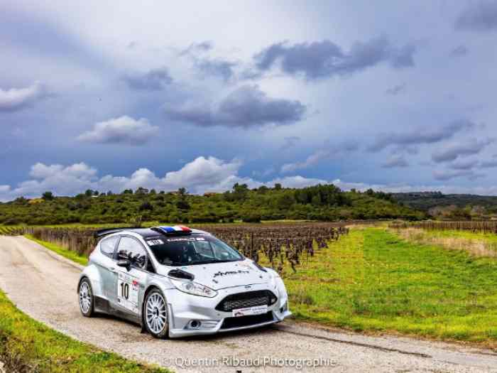 Ford Fiesta Rally2 Mk1 Evo2 (Asphalte et Terre) 4