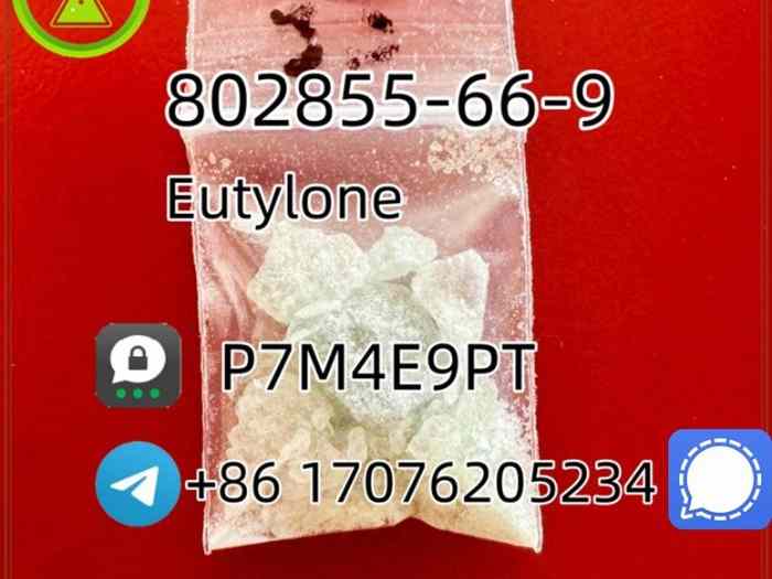 802855 Eu n5 hotsale in the United States