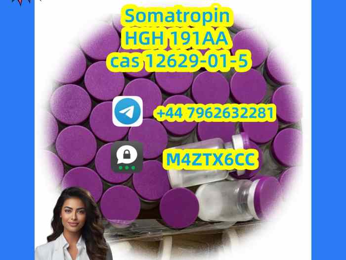 Cas 12629-01-5 HGH Somatropin factory supply from India 2