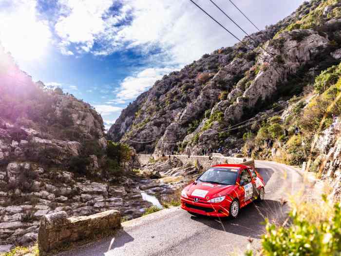Vend peugeot 206a6k 2