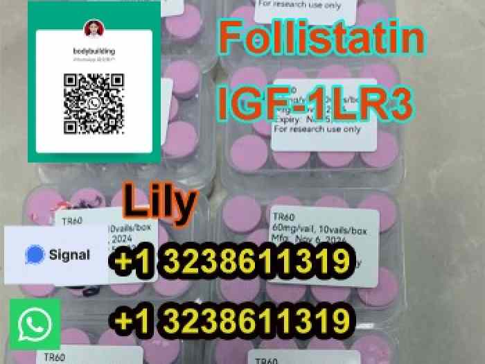 High Purity selank cas129954-34-3 made in China