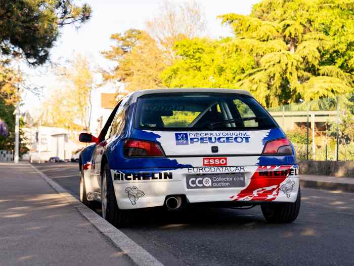 Peugeot 306 Maxi Kit-Car Dimma 3