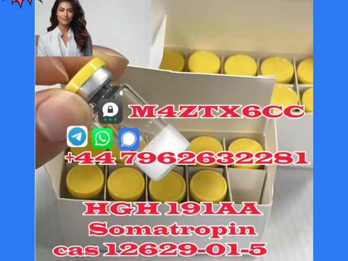 Cas 12629-01-5 HGH Somatropin factory supply from India 0