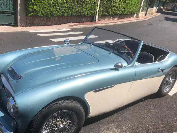 AUSTIN HEALEY 2+2