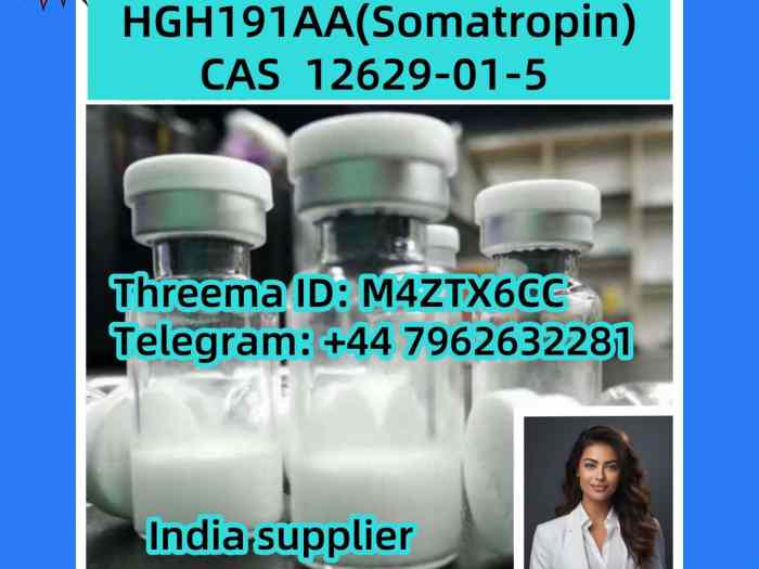 Cas 12629-01-5 HGH Somatropin factory supply from India 5