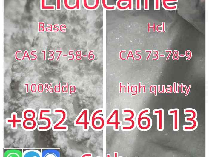 Manufacturer Supply Raw Material CAS 137-58-6 Lidocaine Add +852 46436113 0