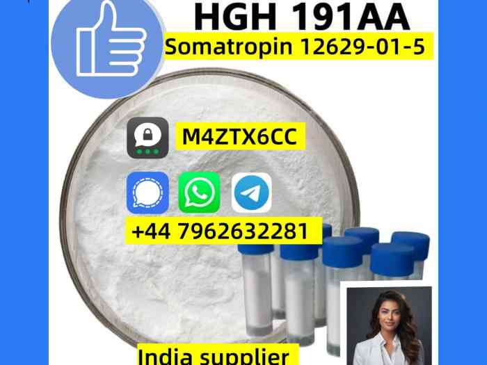 Cas 12629-01-5 HGH Somatropin factory supply from India 4