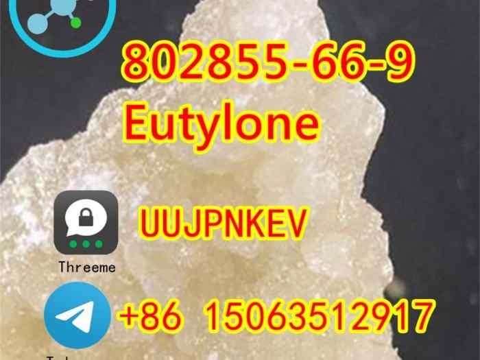 802855 Eu n5 Factory direct sale