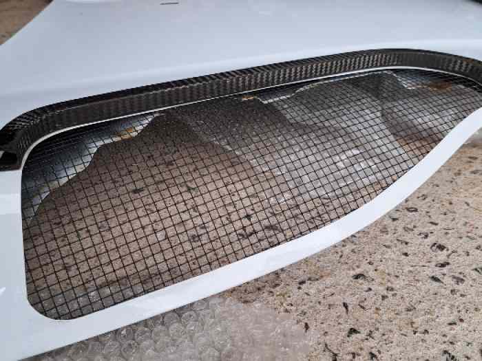 Capot Ford Fiesta R5 4