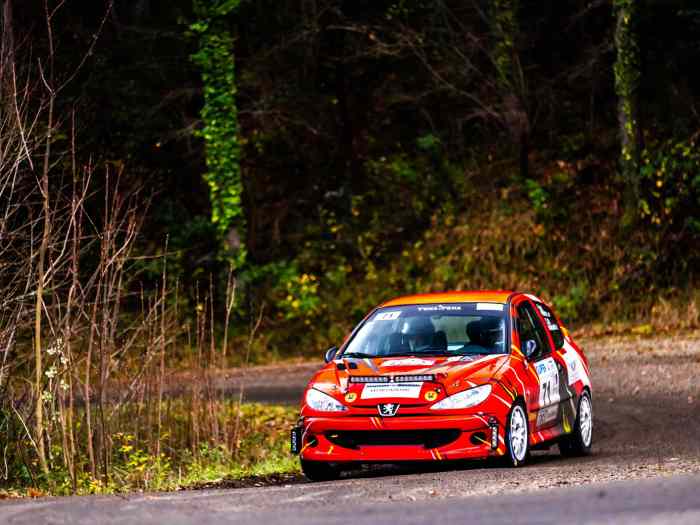 Vend peugeot 206a6k