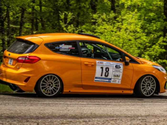 Location Fiesta Rally4 1