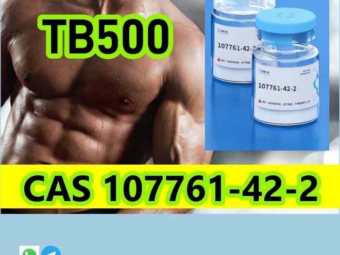 Cheap and good TB500 CAS 107761-42-2 107761-42-2 Purity 99% 4