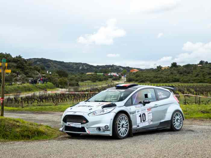 Ford Fiesta Rally2 Mk1 Evo2 (Asphalte et Terre) 3
