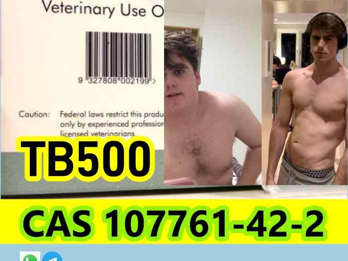 Cheap and good TB500 CAS 107761-42-2 107761-42-2 Purity 99% 2