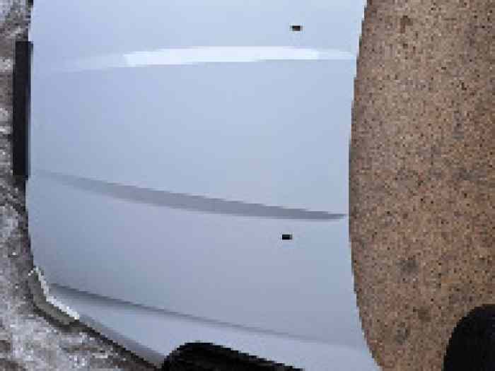 Capot Ford Fiesta R5