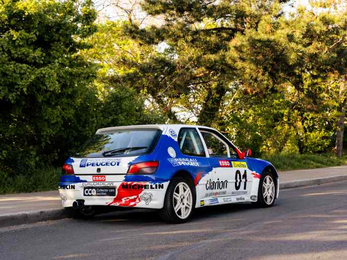 Peugeot 306 Maxi Kit-Car Dimma 1
