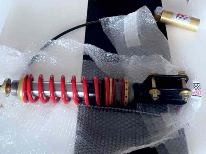 Lot proflex + pivot alu clio Gra